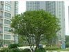 时光澔韵租房300元/月