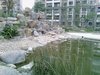 御上海租房1550元/月