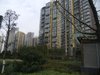 世茂运河城（一至三期）租房2800元/月