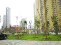 江东新村