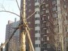 大兴康庄路50号院租房1900元/月