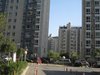 和光里小区租房500元/月