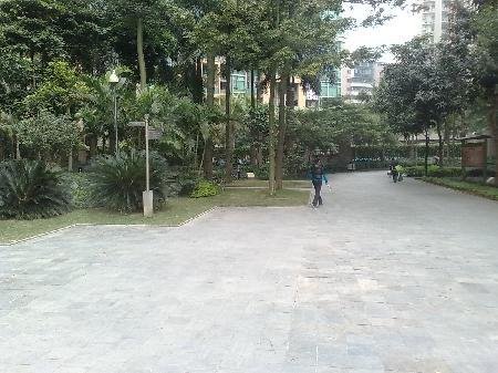 这么低的价格 业主的<em>头发</em>都<em>急白</em>了租房,2100元