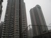 金桥花园租房550元/月
