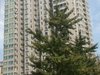 阳光都市租房6800元/月