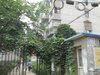 小市村小区租房850元/月