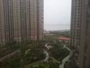 新湖明珠城·望湖苑租房700元/月
