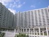 鑫茂公寓租房950元/月