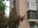 曙光里小区租房65元/月