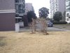 富隆苑租房3600元/月