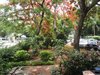 园岭新村租房800元/月