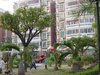 富康花园租房1200元/月