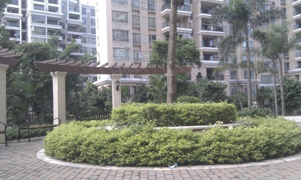 雅居乐豪园,大涌镇租房,大涌*美电梯花园