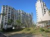 银桥花园（一至五期）租房350元/月