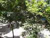 江南西路小区租房1900元/月