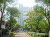 第五元素租房300元/月