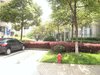 奥体新城清竹园租房250元/月