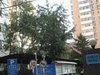 金宸公寓租房35000元/月