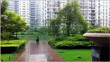 雅居乐花园