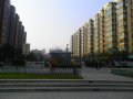 白桦林居