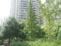中远两湾城（一至四期）,中远两湾城租房750元/月