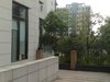 天正湖滨花园租房51元/月