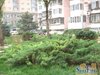 东外小街8号院租房3100元/月