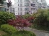 明月港湾租房500元/月