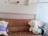 狮山丽晶租房1600元/月