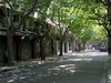 南昌路租房8200元/月