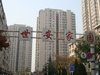 世安家园（银领国际）租房1050元/月
