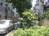 泗塘二村租房1500元/月