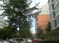 澳林春天三期租房650元/月