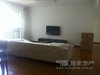 长江路九号租房14000元/月