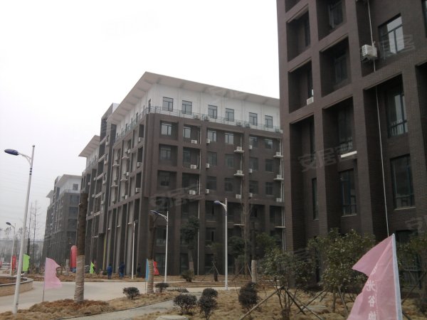 谷方,光谷关山租房,光谷软件园附近一室