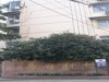 马府新村租房1000元/月