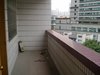 共和路小区租房3000元/月