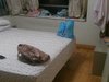 东风广场(一期)租房4500元/月