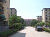 新城南关租房650元/月