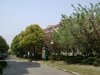 虹兴小区租房3600元/月