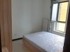 安苑东里租房3100元/月