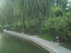 中海紫荆豪庭租房18000元/月