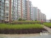 DBC加州小镇租房750元/月