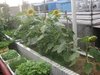 新市新街小区租房2300元/月