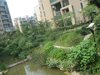 阳光水榭租房400元/月