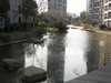 中邦城市租房4500元/月