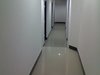 陕西北路1310号租房1300元/月