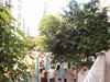 国展苑租房56元/月
