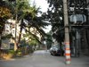 中桥三村租房500元/月