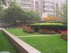 中联部小区租房4200元/月
